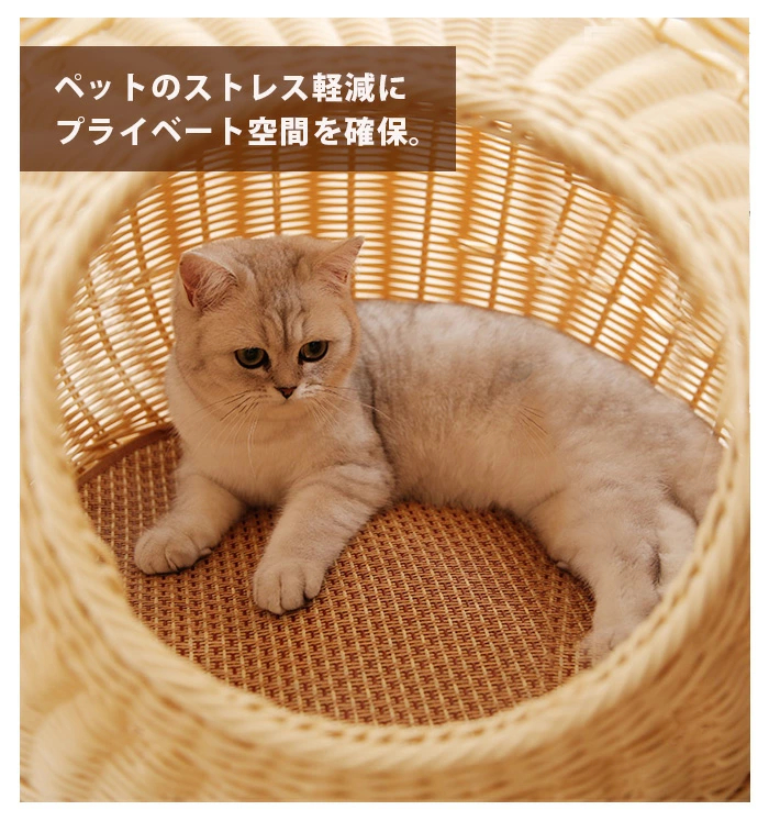 Amazon.co.jp: ペットベッド 夏用 マット付き 猫ベッド ねこ