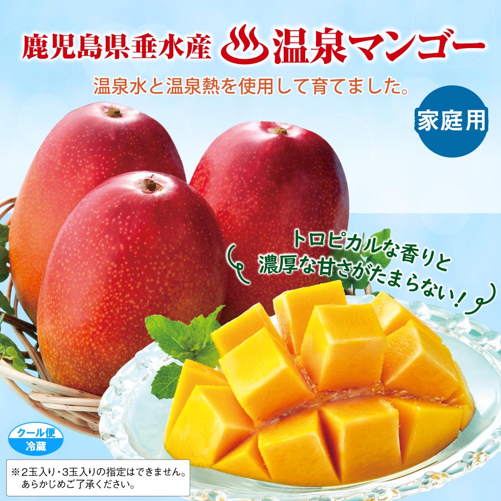 財宝 マンゴー 温泉マンゴー 鹿児島県 垂水産 1kg 1箱 2〜3玉入 化粧箱