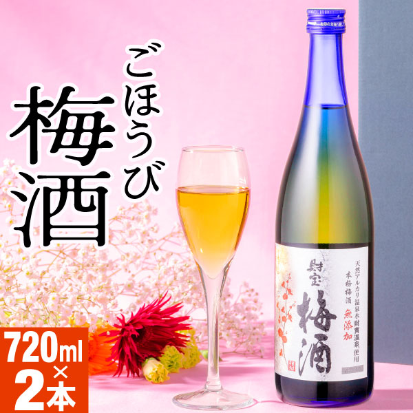 (ポイント3倍 最短当日出荷) 梅酒 ギフト 化粧箱入 プレゼント 財宝梅酒 12度 720ml 2本 セット ギフト梅酒｜zaihou