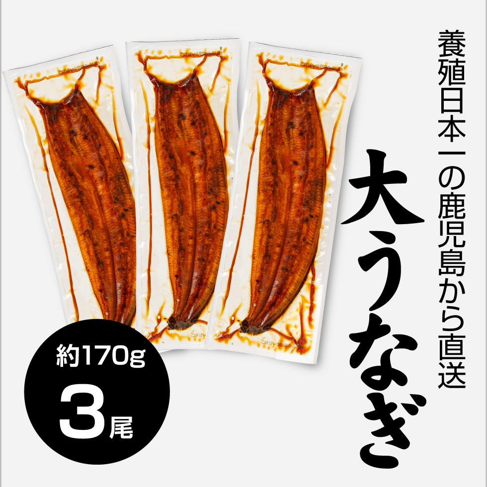 大うなぎ