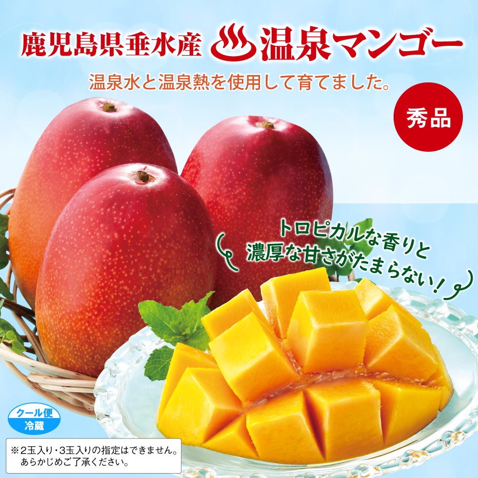 財宝 マンゴー 温泉マンゴー 鹿児島県 垂水産 1kg 1箱 2〜3玉入 化粧箱