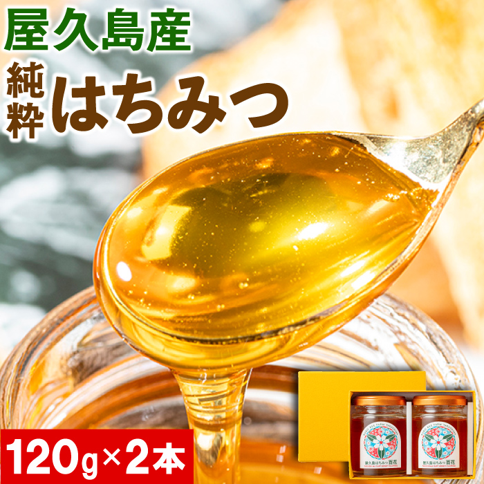 財宝 はちみつ 蜂蜜 国産 非加熱 無添加 屋久島産 純粋はちみつ 120g 2