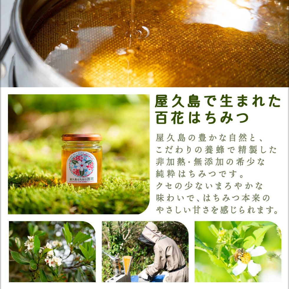 財宝 はちみつ 蜂蜜 国産 非加熱 無添加 屋久島産 純粋はちみつ 120g 2