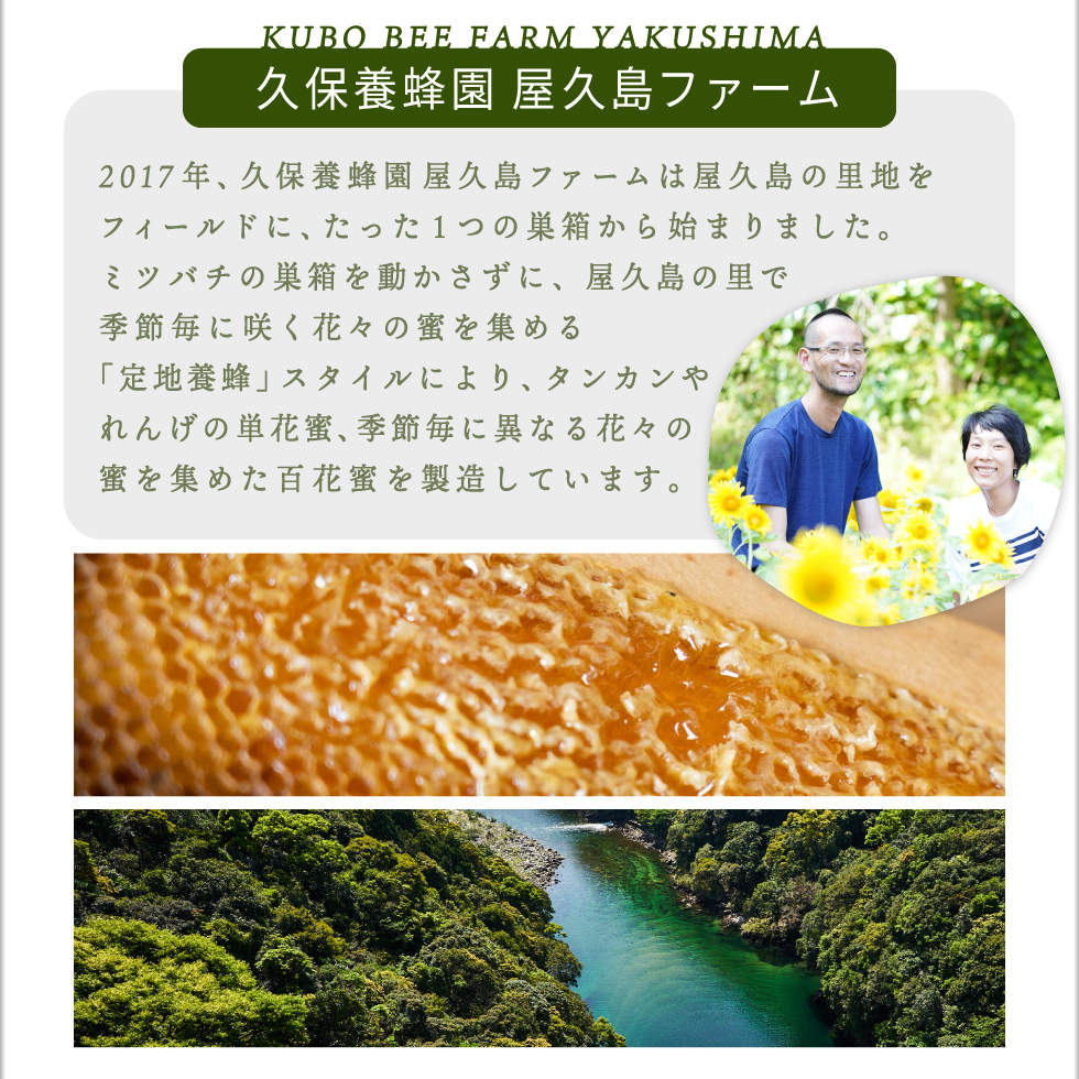 財宝 (ポイント3倍) はちみつ 蜂蜜 国産 非加熱 無添加 屋久島産 純粋