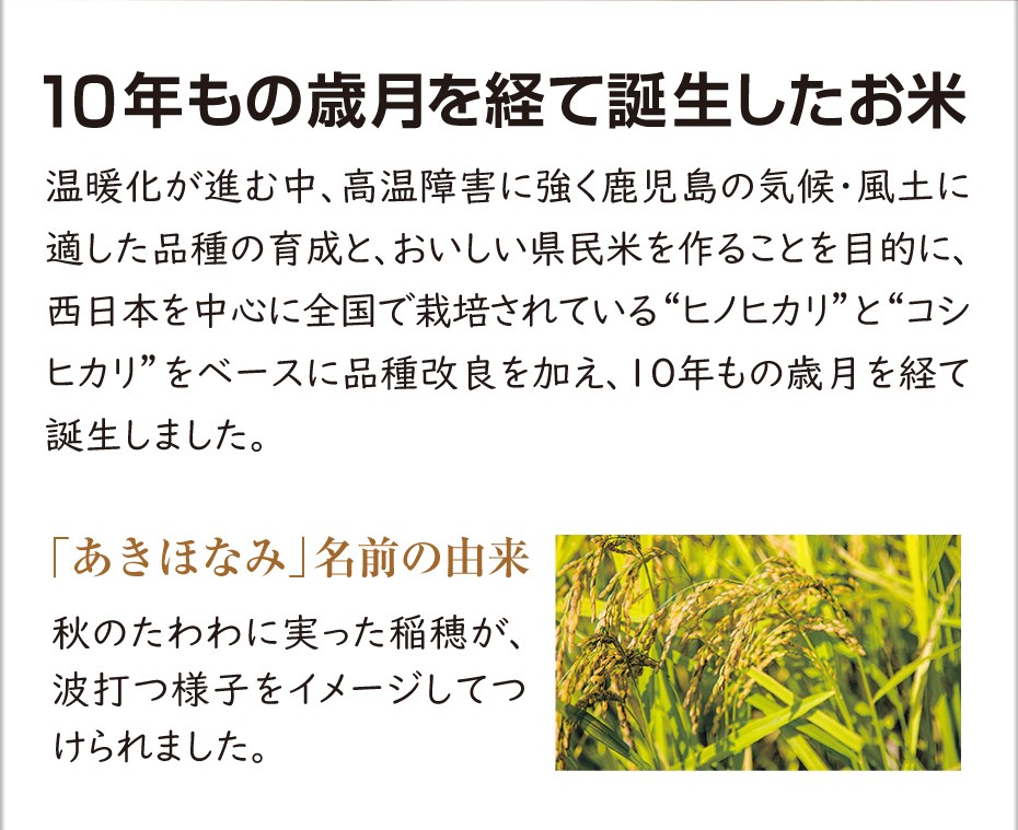 楽天市場】【ふるさと納税】 令和5年産 鹿児島県 あきほなみ 5kg