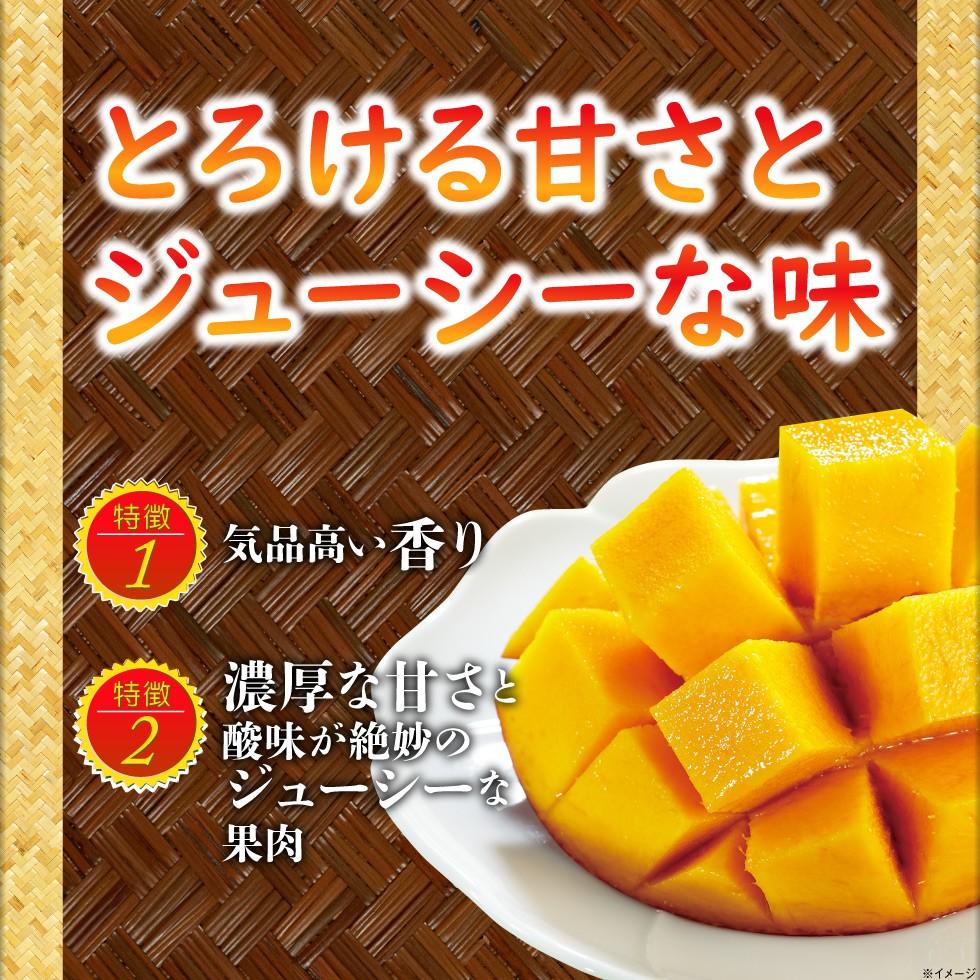 財宝 マンゴー 温泉マンゴー 鹿児島県 垂水産 1kg 1箱 2〜3玉入 化粧箱