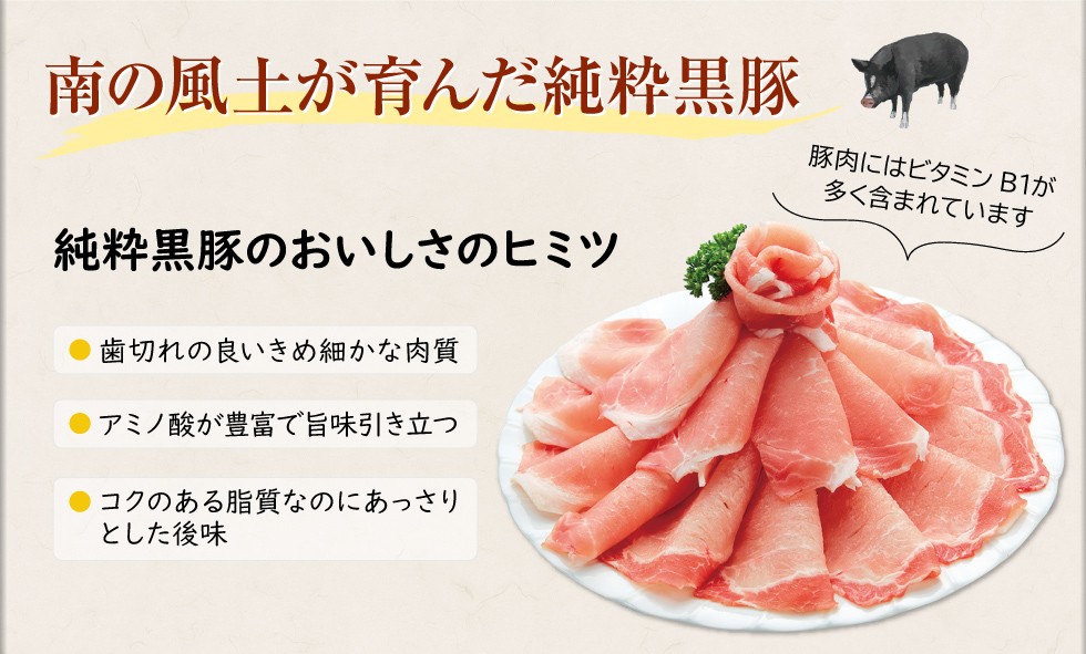 財宝 しゃぶしゃぶ つみれ 鹿児島産 純粋黒豚 800g 豚肉 ロース