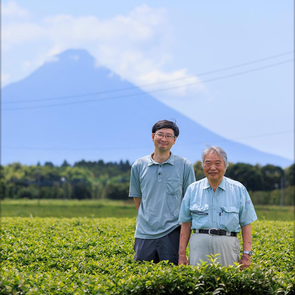 葉桐 お茶 マル桐煎茶 100g お茶の葉桐 静岡産伝統製法のお茶