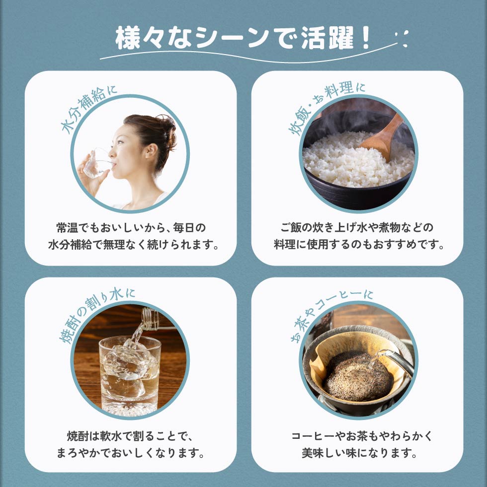 温泉水 水 ミネラルウォーター 2リットル 12本 財宝 みず 2l ペットボトル シリカ水 PFAS 検査済 | 財宝 | 09