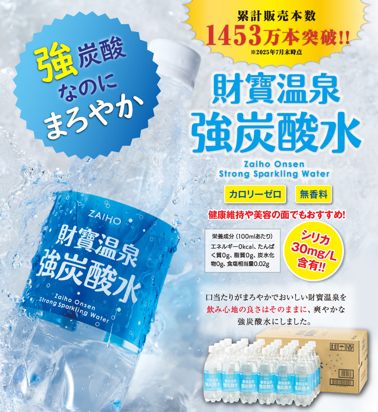 財宝 (ポイント2倍) 炭酸水 強炭酸 財寶温泉強炭酸水 500ml 24本