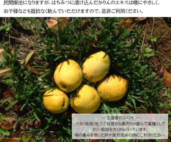 かりんの蜂蜜漬350g かりん はちみつ漬け カリン 花梨 ハチミツ 花梨蜂蜜漬 のど 奈良県 送料無料 Buyee Buyee Japanese Proxy Service Buy From Japan Bot Online