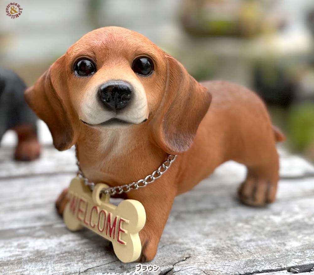 可愛いわんこの置物 ラブリーWELCOME ウェルカム ダックス M / パピー