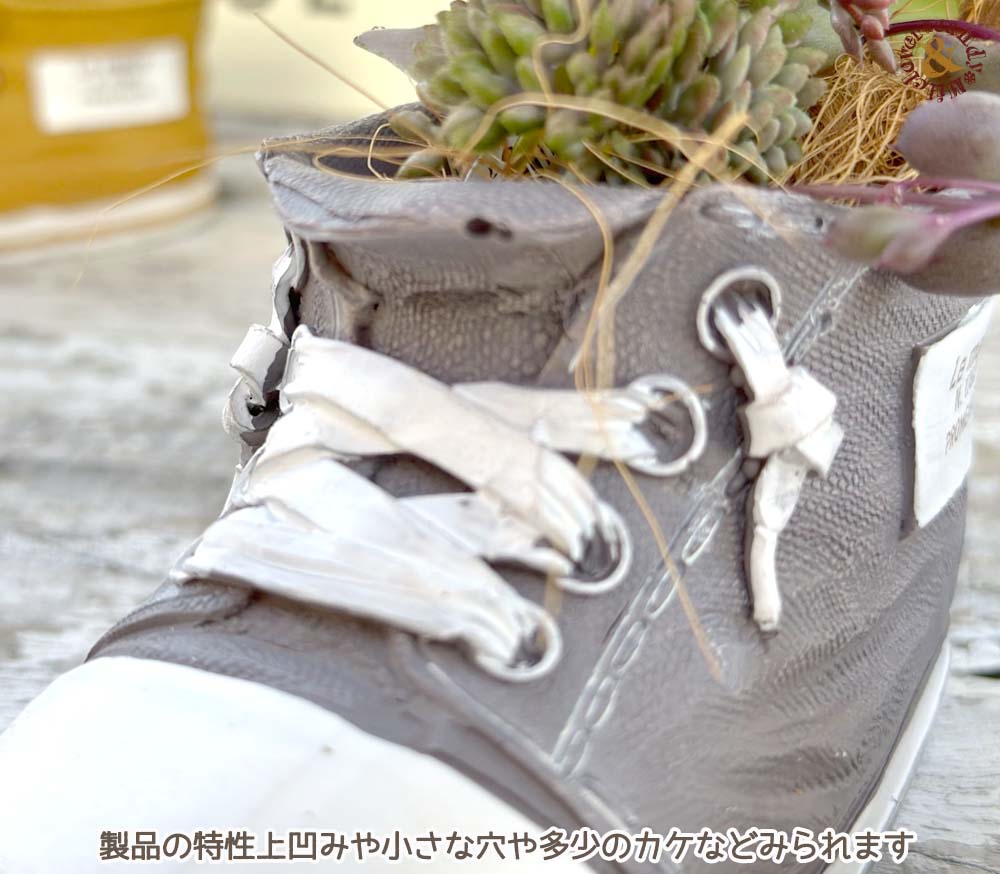 売れ筋ランキングも掲載中！ ミニポット プランター 小さい鉢 小さなお花屋さん フラワーショップカー ポット プチヴォワチュールポットS ミニカー  かわいい おしゃれ 寄植え
