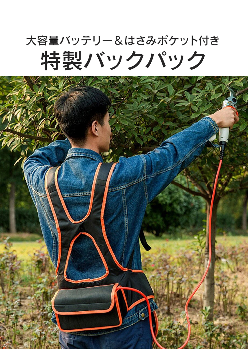 値下げ 剪定ばさみ 電動 剪定鋏 電動剪定はさみ 業務用 プロ用 充電式 