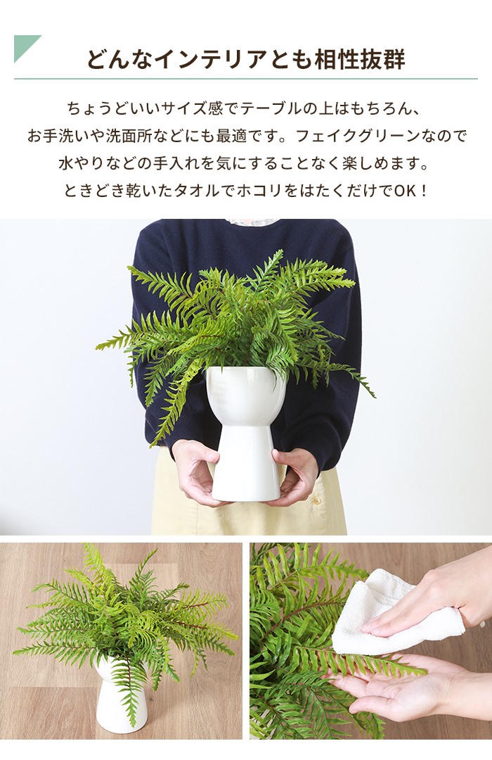 シダ植物 植物（人工観葉、フェイクグリーン）の商品一覧 | 花