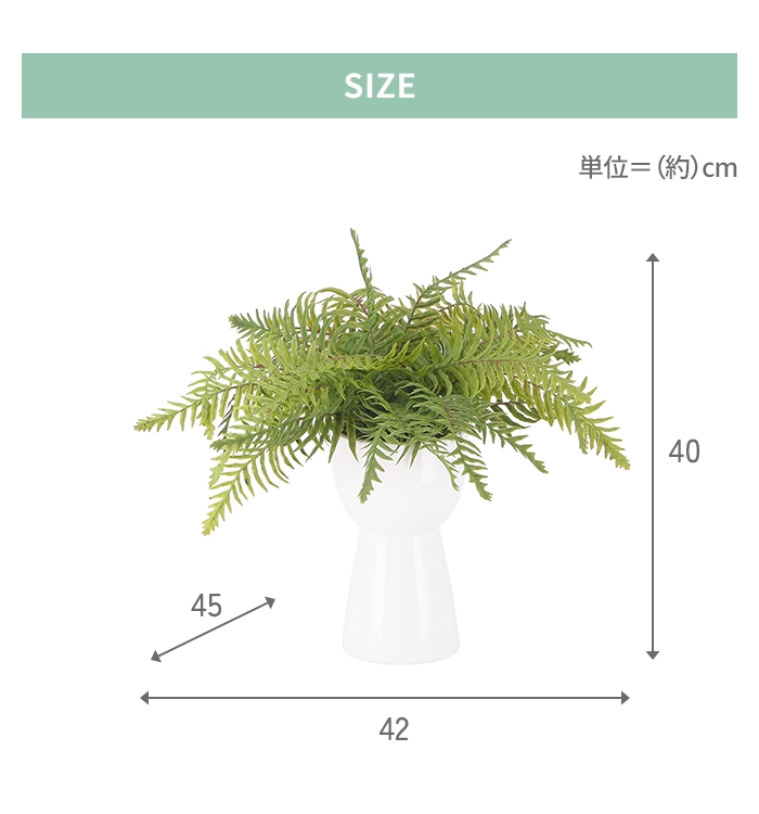 シダ植物 植物（人工観葉、フェイクグリーン）の商品一覧 | 花