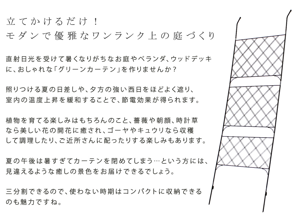 アイアン製グリーンカーテン アーガイル フェンス アイアン グリーンフェンス ゴーヤ 薔薇 朝顔 庭 ガーデニング 枠 柵 目隠し トレリス 園芸 ラティス 屋外