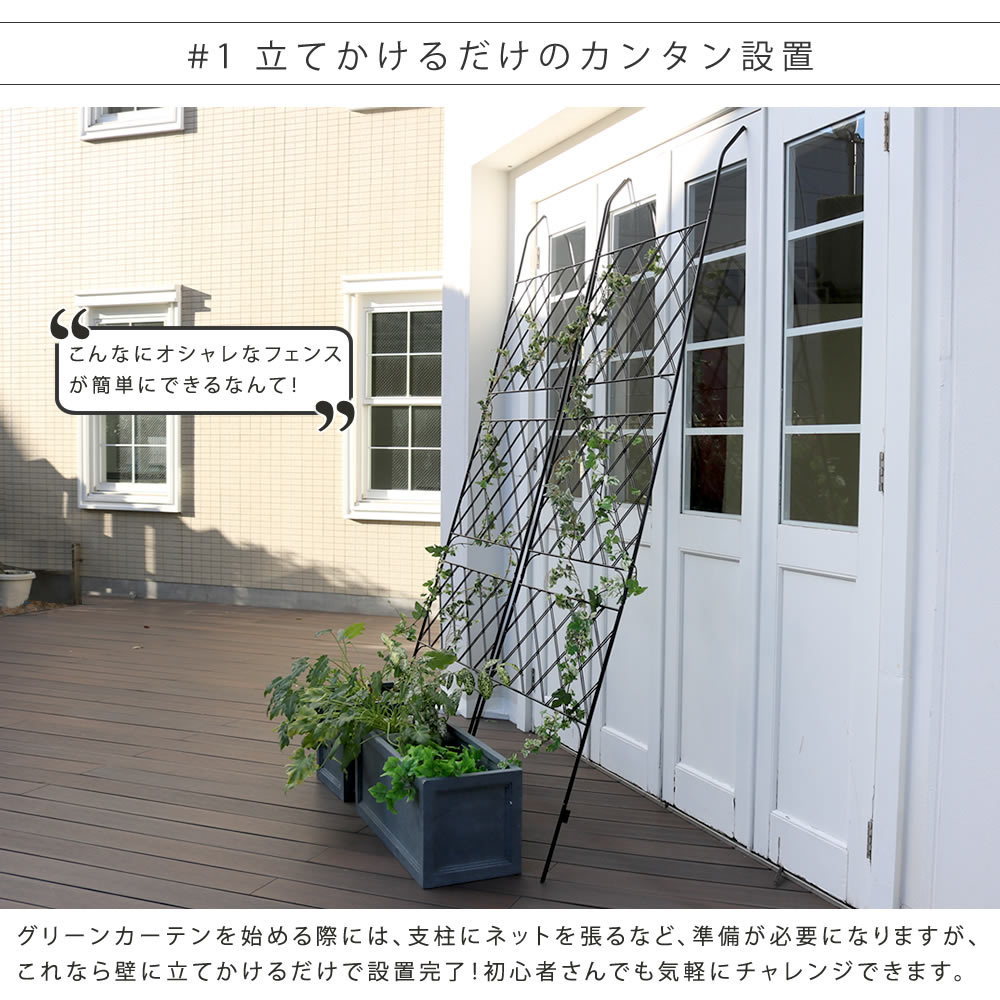 アイアン製グリーンカーテン アーガイル フェンス アイアン グリーンフェンス ゴーヤ 薔薇 朝顔 庭 ガーデニング 枠 柵 目隠し トレリス 園芸 ラティス 屋外