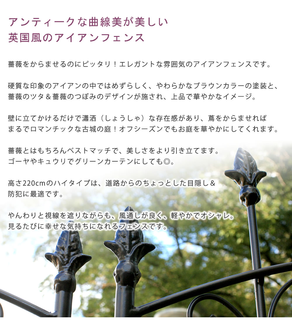 アイアンローズフェンス220 ハイタイプ 2枚組フェンス アイアン ガーデンフェンス 枠 柵 仕切り 目隠し 境目 トレリス つる 薔薇 朝顔 園芸 ラティス｜zakka-gu-plus｜03