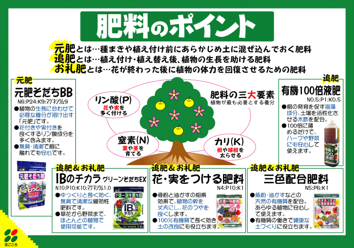 花ごころ 肥料 IBのチカラグリーンそだちEX 1.4kg【花ごころ
