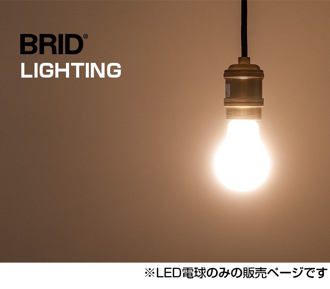 全方向型LED電球 ヴィンテージタイプ E26 電球色(電球 LED 裸電球