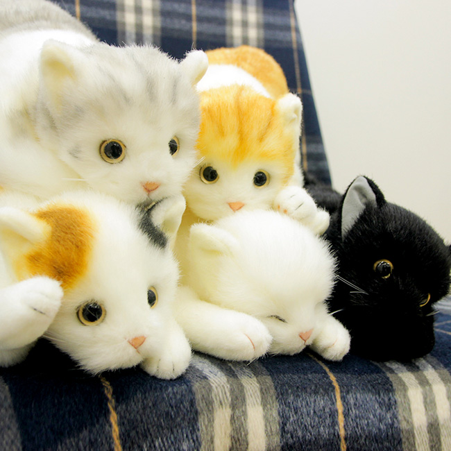 日本製 リアル 猫のぬいぐるみ 子猫 20cm(リアル ぬいぐるみ ネコ 猫 
