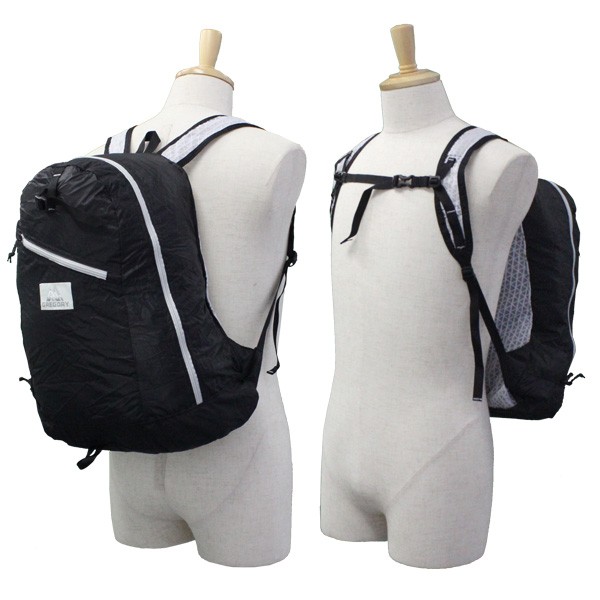 GREGORY グレゴリー DAY PACK LT デイパックLT バックパック