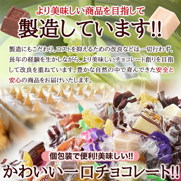 お徳用 ジャージーミックスひとくちチョコレート300g : zakkacocker