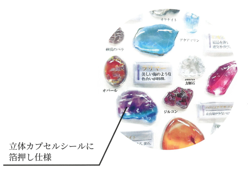 カミオジャパン 大人の図鑑シール 3D 5点セット カミオジャパン 3D大人の図鑑シール ビジュアルコレクション KAMIO
