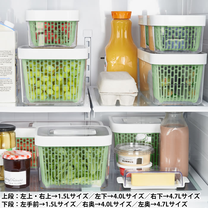 食品保存容器 クリア/グリーン 中型 OXO（オクソー） 保存容器 プラスチック 四角 グリーンセーバー フード