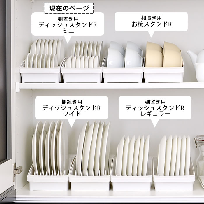 リッチェル（Richell） 食器 収納 ケース トトノ 棚置き用 ディッシュ