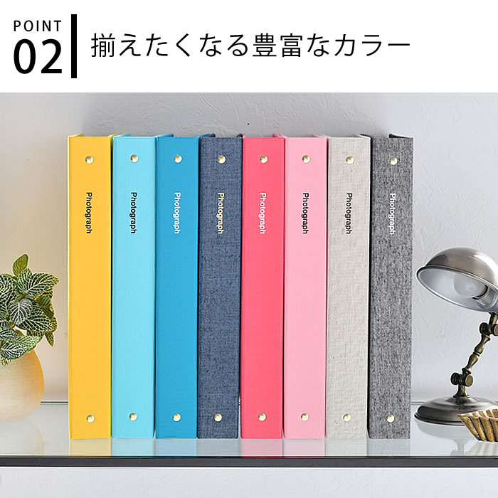 DELFONICS（デルフォニックス） アルバム ML(A4) バインダー式 PD