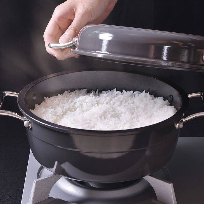 北陸アルミニウム HAMON 鍋 21cm ih 煮込み 両手鍋 煮る 無水調理