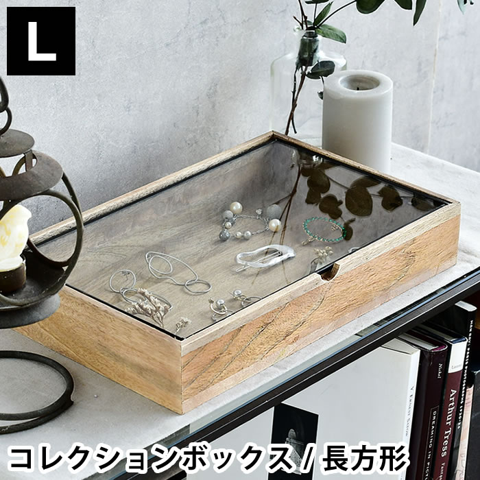 DETAIL（ディテール） ディスプレイ ケース ショーケース レクタングル