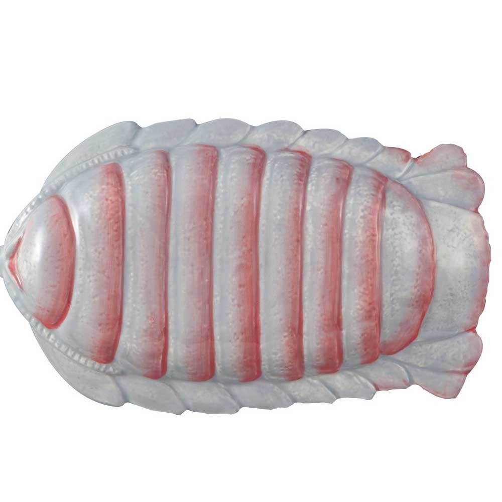 おもしろ食器 深海魚 おつまみ皿 ダイオウグソクムシ おもしろ雑貨 おもしろグッズ 小皿 小鉢 Sa San2669 雑貨屋フリー 通販 Yahoo ショッピング