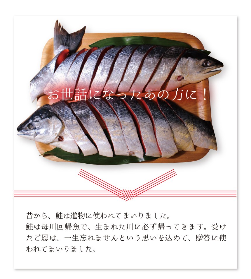 沖獲り紅鮭 一尾（約1.7kg） 鮭 サケ さけ サーモン 天然 紅サケ 紅さけ ギフト プレゼント 贈答 お祝い  :sk3:ざこばの朝市オンラインショップ - 通販 - Yahoo!ショッピング