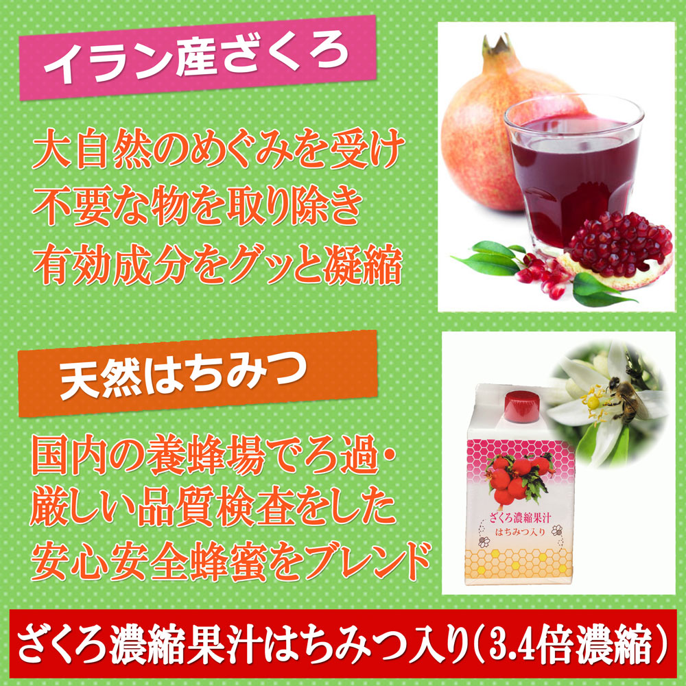 ザクロジュース ざくろ濃縮果汁 蜂蜜入り 紙パック500ml 6本セット フルーツジュース