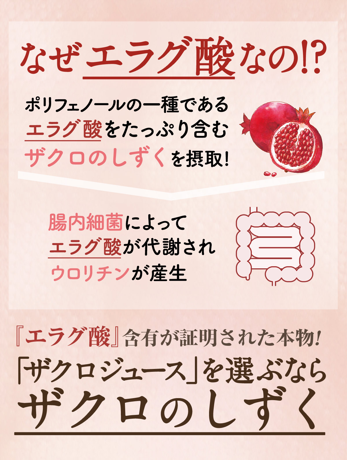 ザクロジュース 100% 無添加 ザクロのしずく500ml 1本  約5L相当 濃縮 ざくろ カズレーザーと学ぶ {001}｜zakuroya｜11