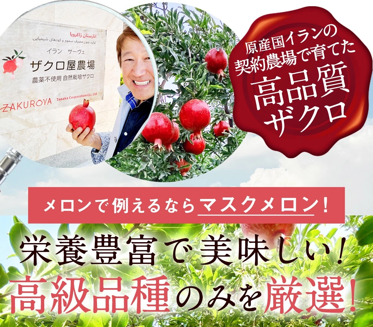 10%OFF ザクロジュース 100% 妊活 美容 長寿 ざくろ ザクロのしずく スティック15ml×15本 {c052} |  | 18