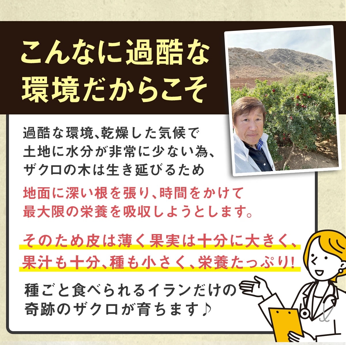 ザクロジュース 濃縮 100% 無添加 初めて特価 ザクロのしずく 10 ザクロジュース 濃縮 100% 無添加 初めて特価 ザクロのしずく 10