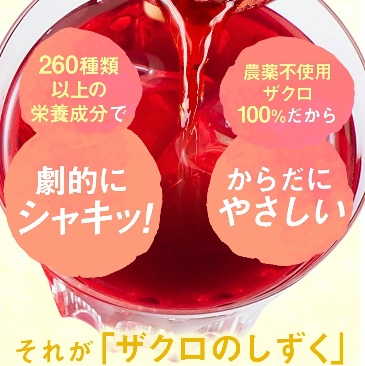 ザクロジュース 濃縮 100% 無添加 初めて特価 ザクロのしずく 10 ザクロジュース 濃縮 100% 無添加 初めて特価 ザクロのしずく 10
