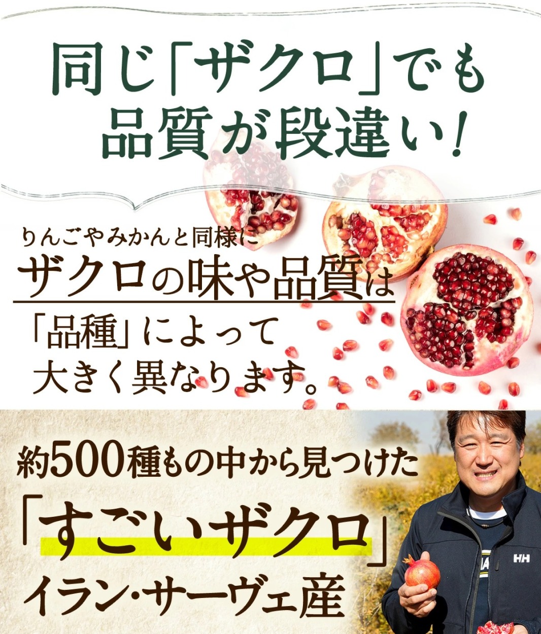 ザクロジュース 100% 無添加 ザクロのしずく500ml 1本  約5L相当 濃縮 ざくろ カズレーザーと学ぶ {001}｜zakuroya｜13