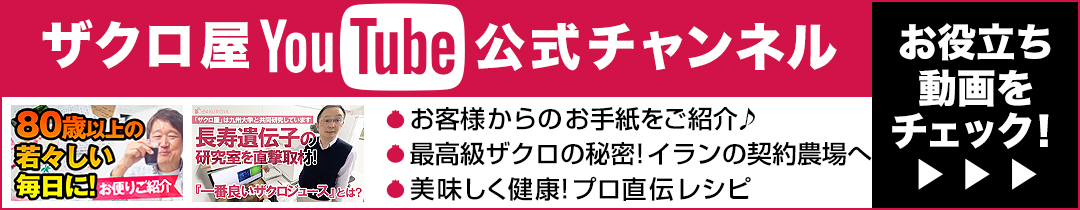 “YouTube”