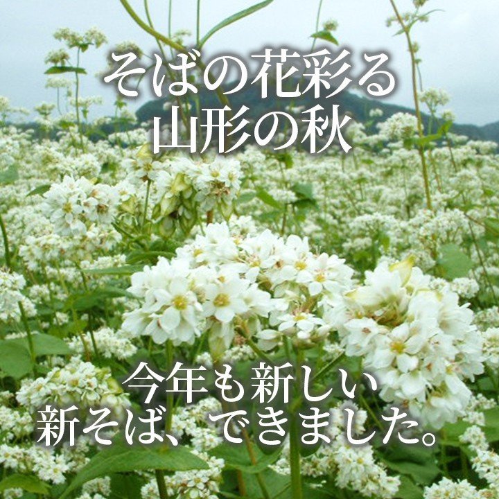 そば 山形 田舎そば 蕎麦 令和5年産 新そば 200g×20袋 2023年 山形県