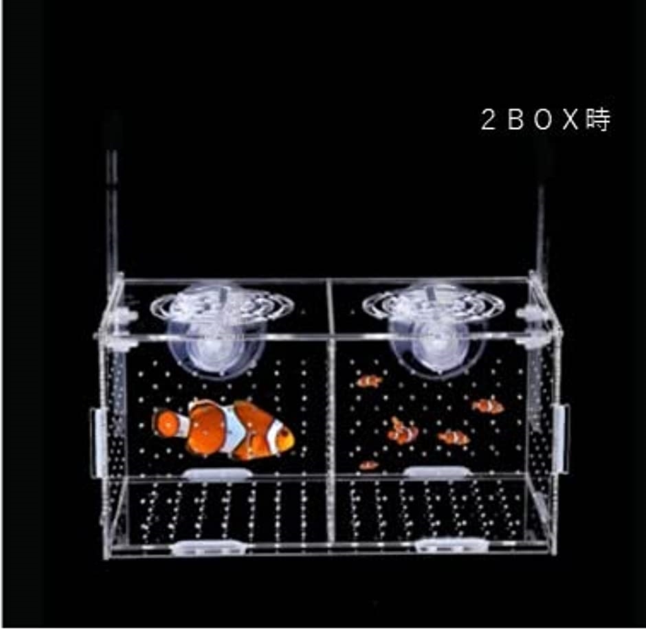 熱帯魚 隔離箱 水槽 繁殖 隔離ボックス 産卵飼育ネット メダカ 稚魚