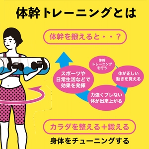 ウォーターバッグ ウォーターダンベル 筋トレ 体幹 トレーニング 10kg 15kg トリセツ付き Toreco-2(20L) | ブランド登録なし | 10