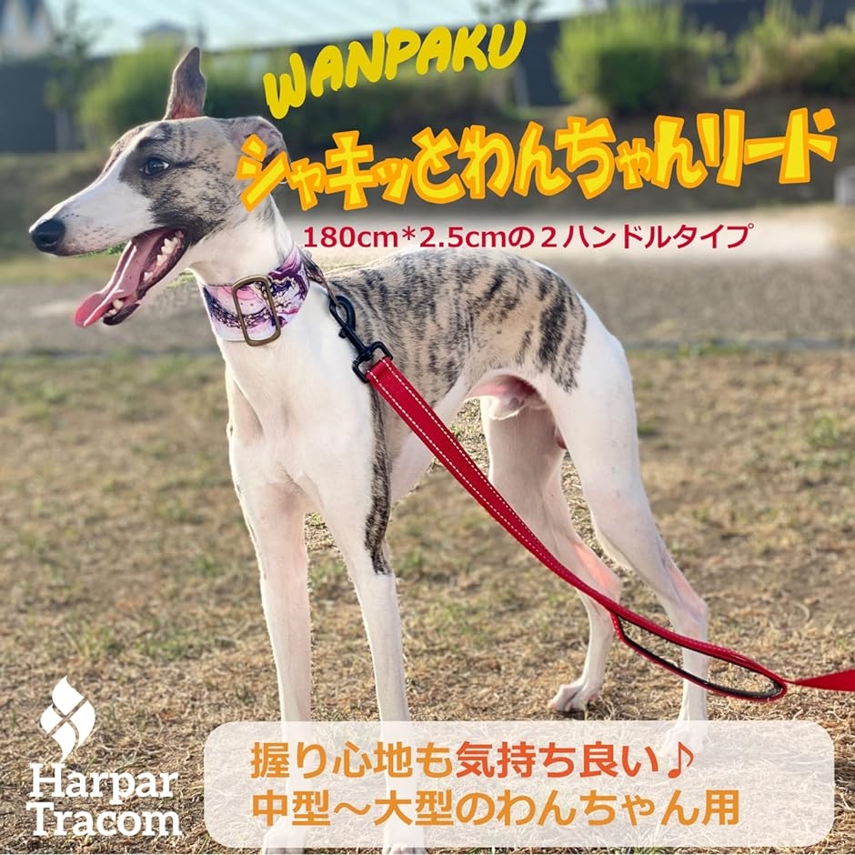 大型犬 リード 180cm（犬用リード）の商品一覧｜首輪、ハーネス、リード｜犬用品 | ペット用品、生き物 通販 - Yahoo!ショッピング