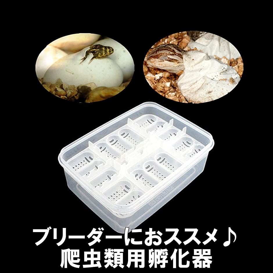 別倉庫からの配送】爬虫類 孵卵器 トカゲ ボックス クリア( カメ