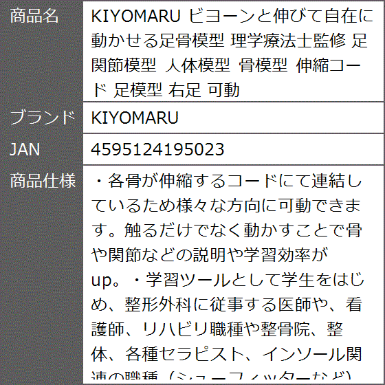 ビヨーンと伸びて自在に動かせる足骨模型 理学療法士監修 足関節模型