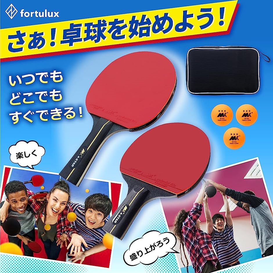 卓球 ラケット セット 2本 ネット ケース ボール 初心者 どこでも ペン